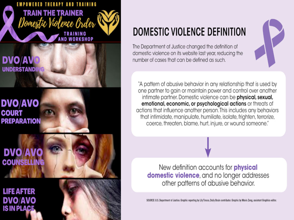 What is Domestic Violence - feature